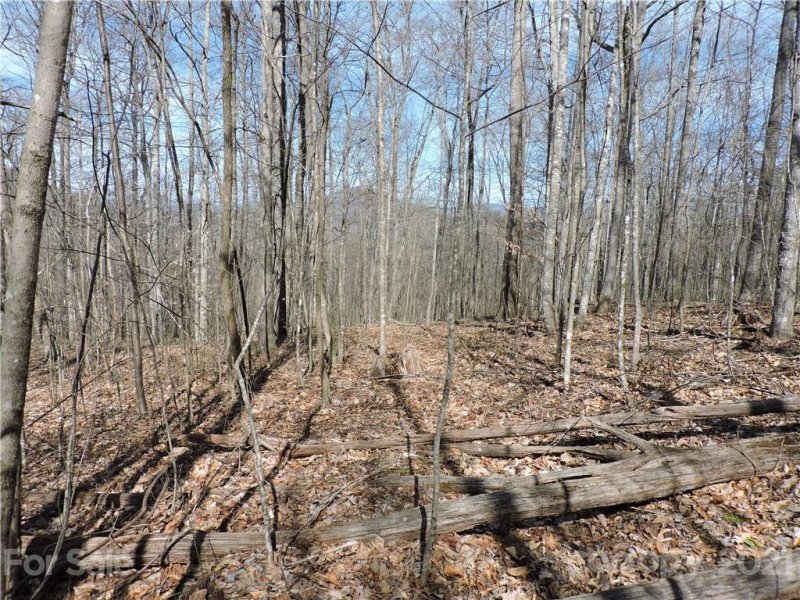 Property image 3 at 0 Sleepy Oak Lane, Spruce Pine, NC 28777