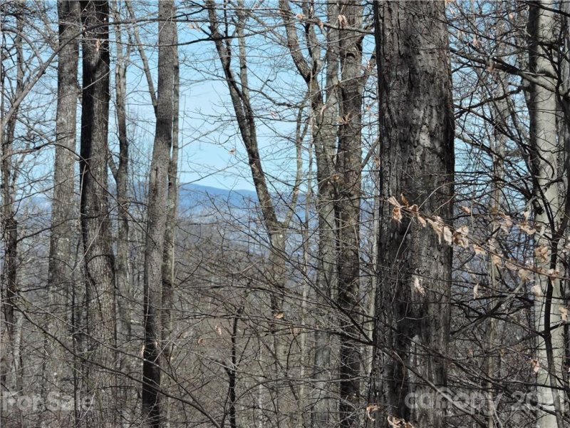Property image 4 at 0 Sleepy Oak Lane, Spruce Pine, NC 28777