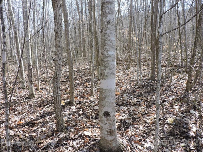 Property image 5 at 0 Sleepy Oak Lane, Spruce Pine, NC 28777