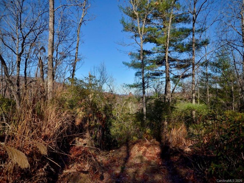 Property image 3 at Tbd Erwin Hill Road, Etowah, NC 28729