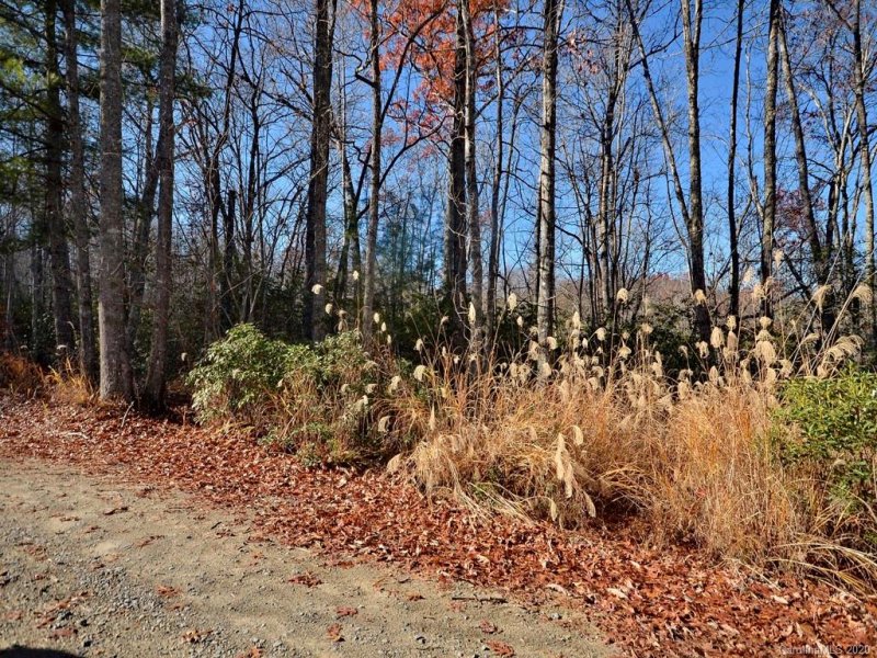 Property image 2 at Tbd Erwin Hill Road, Etowah, NC 28729