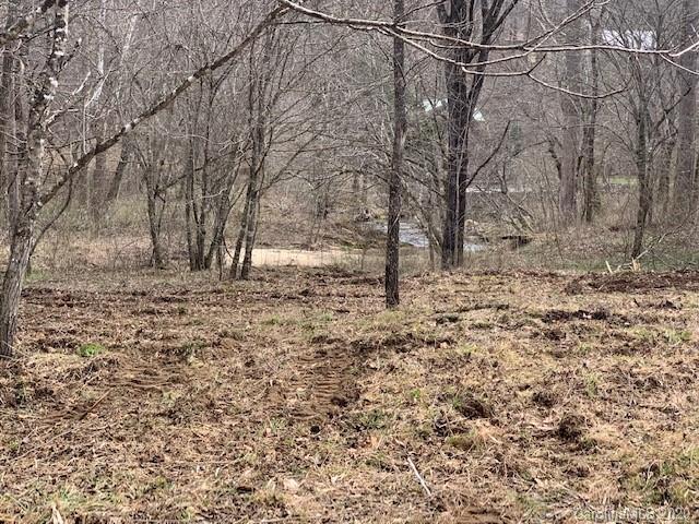 Property image 5 at 0000 Reedy Run None, Hendersonville, NC 28792