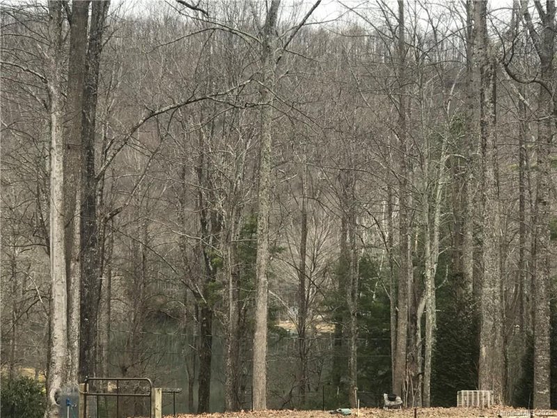 Property image 2 at 9 Tanglewood Lane, Saluda, NC 28773