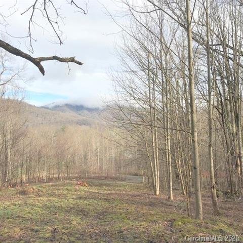 Property image 3 at 000 Cisco Cove, Waynesville, NC 28785