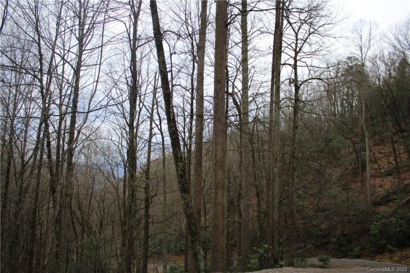 Property image 5 at Lot 14 Teaberry Ridge Road, Waynesville, NC 28786