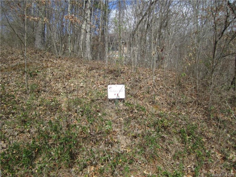 Property image 5 at Lot 1 Methodist Drive, Lake Junaluska, NC 28745