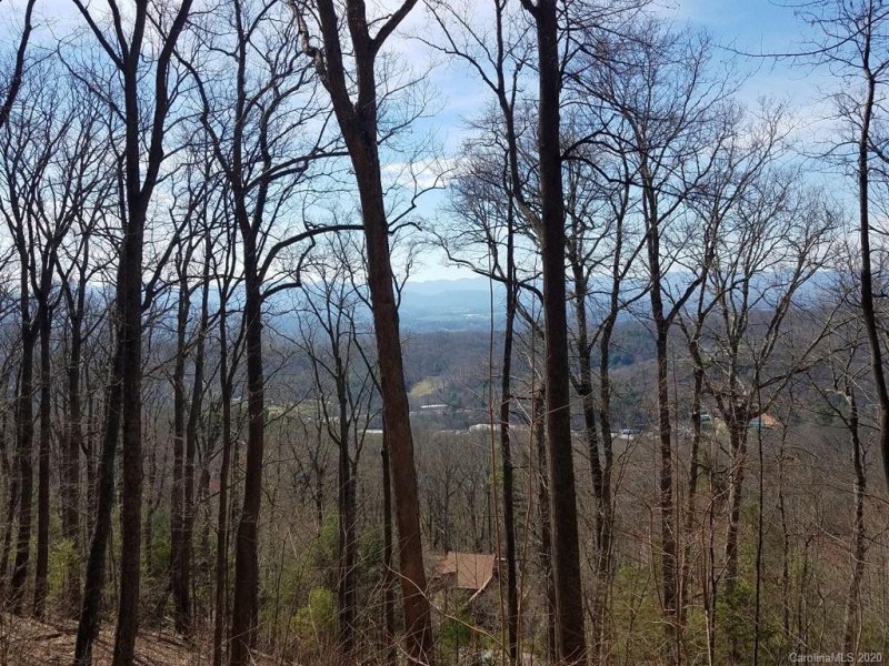 Property image 3 at 201 Briarcliff None, Asheville, NC 28804