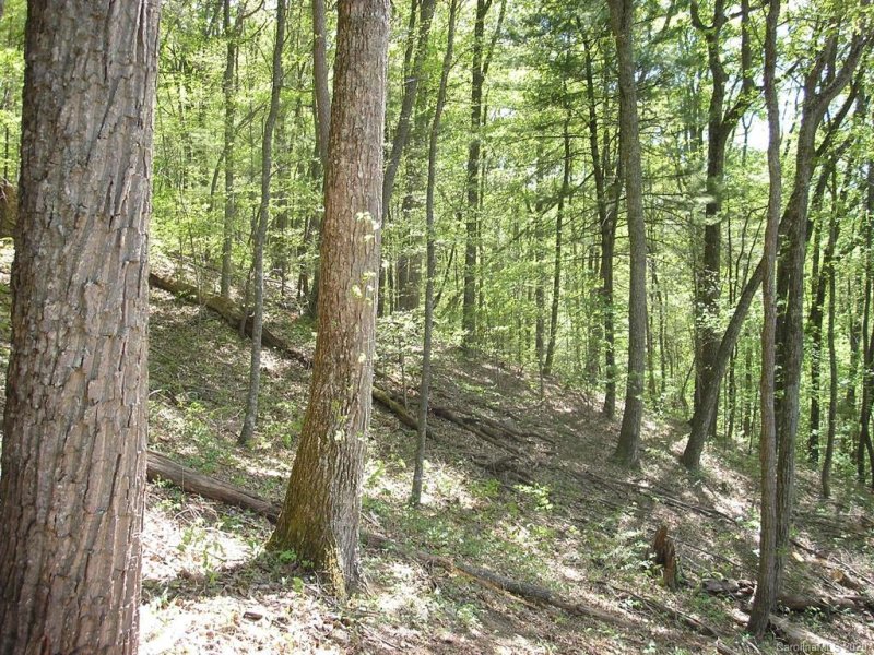 Property image 4 at 201 Briarcliff None, Asheville, NC 28804