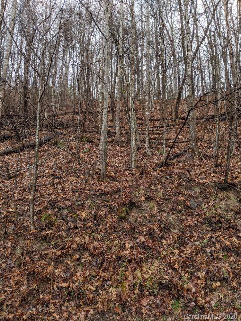 Property image 3 at Lot 49 Laurel Creek Drive, Hendersonville, NC 28792