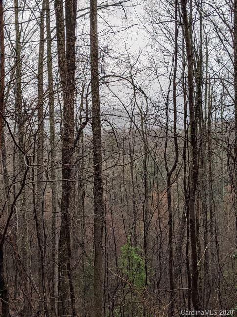 Property image 4 at Lot 49 Laurel Creek Drive, Hendersonville, NC 28792