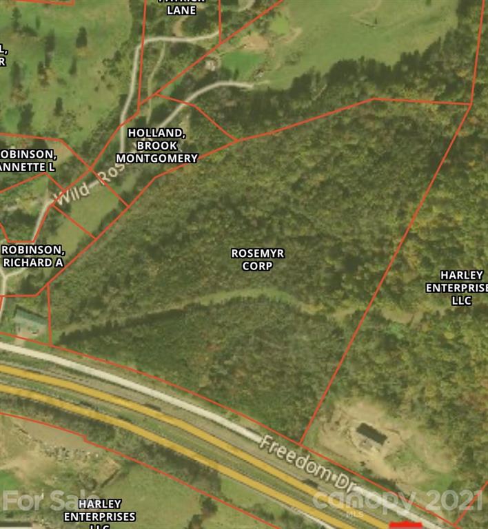 Property image 2 at 00000 Freedom Drive, Canton, NC 28716