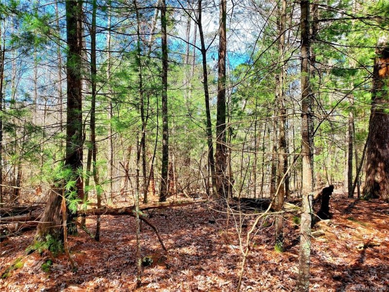 Property image 5 at 179 Doves Way, Lake Lure, NC 28746