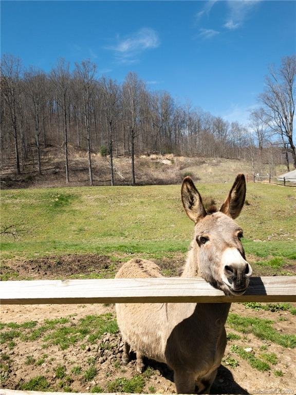 Property image 3 at 13 Rugged Top Road, Waynesville, NC 28785