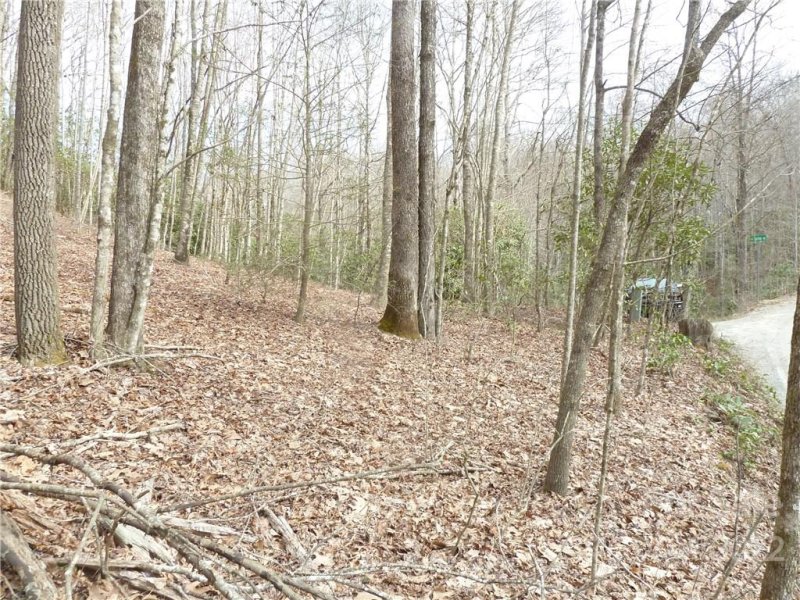 Property image 4 at 0 Spring Road, Rosman, NC 28772