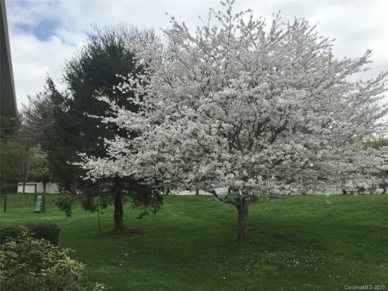 Property image 2 at 74 Classic Oaks Circle, Hendersonville, NC 28792