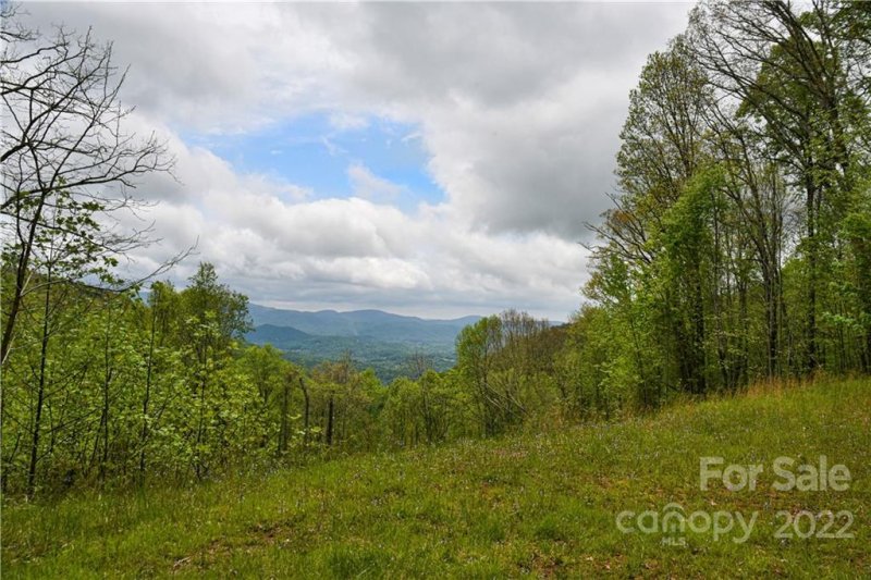 Property image 2 at 24 Poplar Forest Road, Fairview, NC 28730