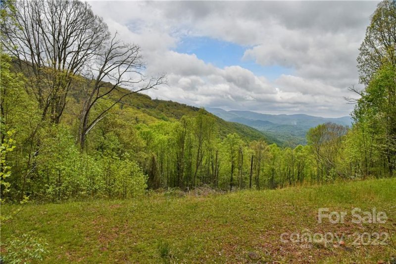 Property image 3 at 24 Poplar Forest Road, Fairview, NC 28730