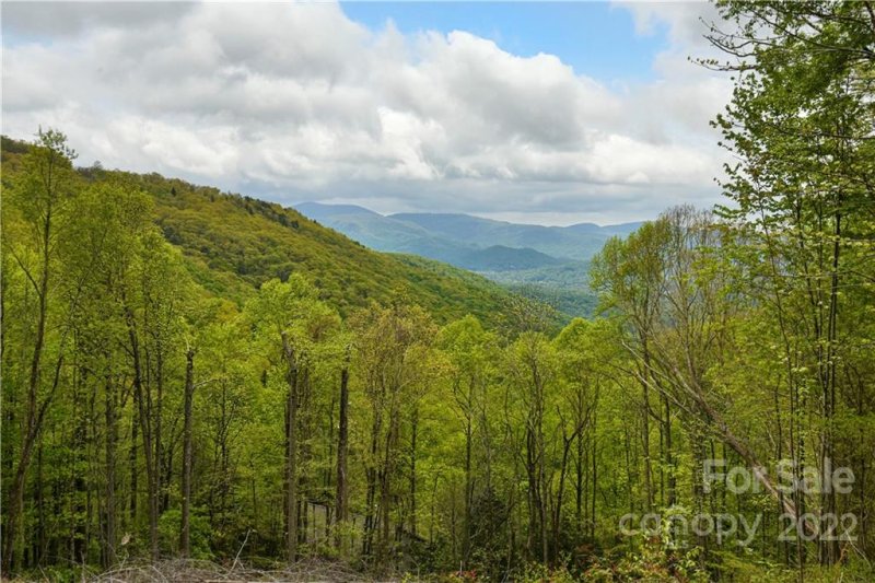 Property image 5 at 24 Poplar Forest Road, Fairview, NC 28730