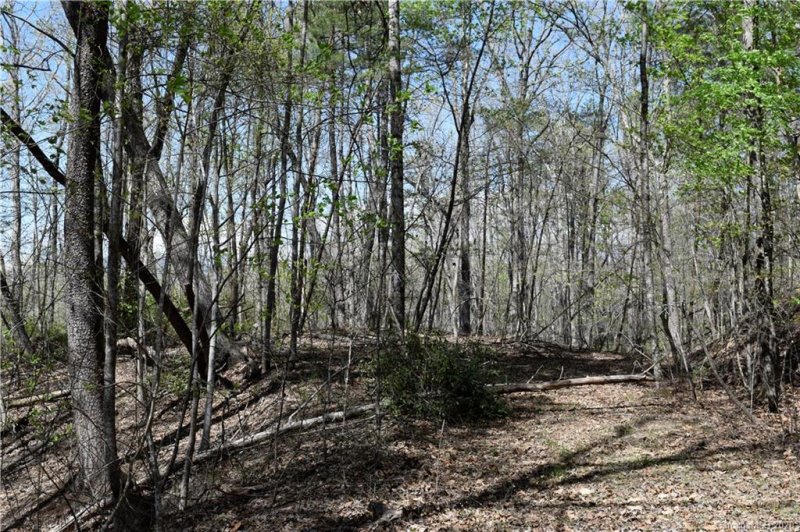 Property image 3 at Tbd Nors Way, Lake Lure, NC 28746