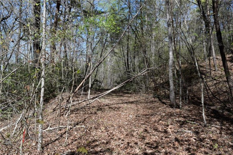 Property image 4 at Tbd Nors Way, Lake Lure, NC 28746