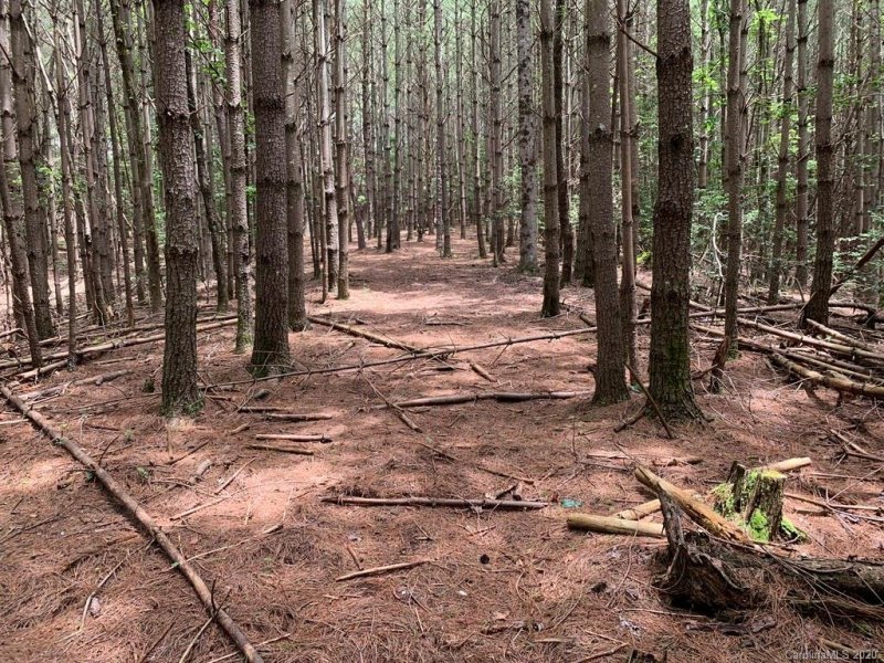 Property image 3 at 1412 Old Dry Creek Road, Morganton, NC 28655