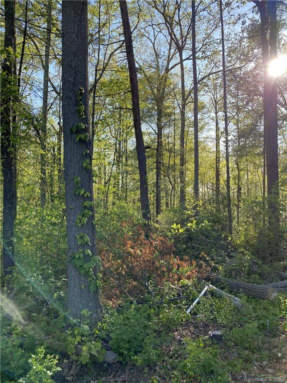 Property image 3 at 00 Critter Trail, Clyde, NC 28721