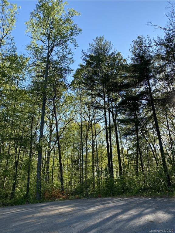 Property image 5 at 00 Critter Trail, Clyde, NC 28721