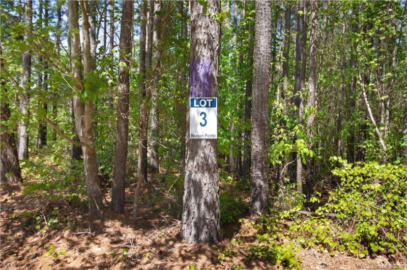 Property image 3 at 116 Frostcliff Lane, Mooresville, NC 28117