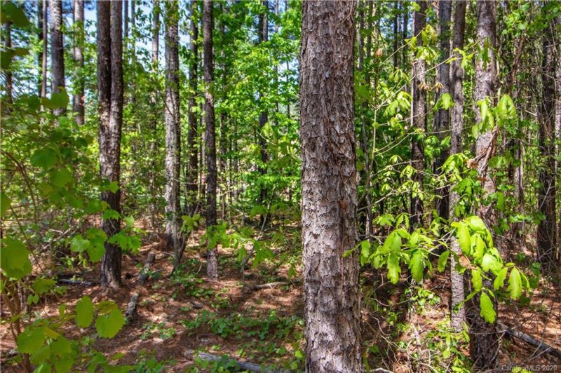 Property image 5 at 116 Frostcliff Lane, Mooresville, NC 28117