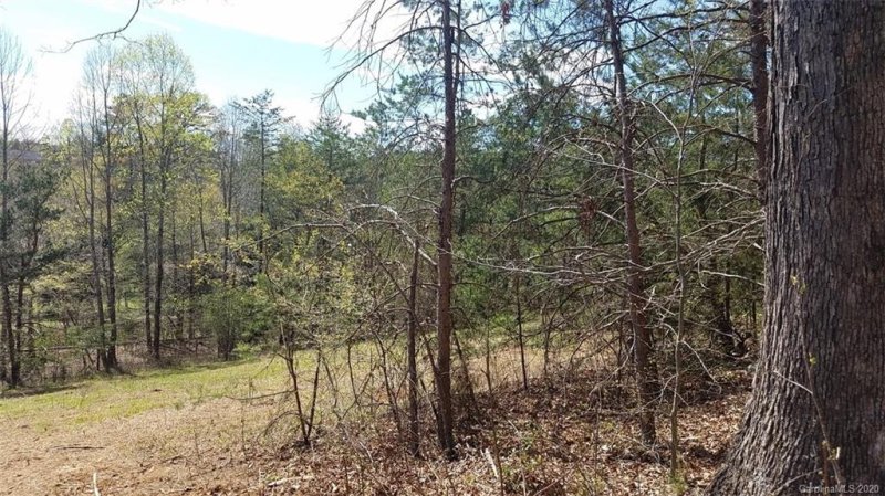 Property image 2 at 207 Stow A Way Drive, Nebo, NC 28761