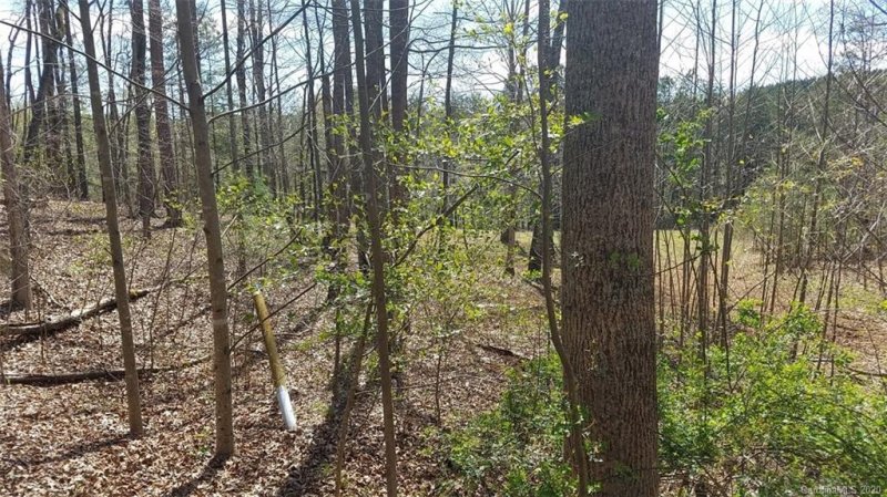 Property image 3 at 207 Stow A Way Drive, Nebo, NC 28761