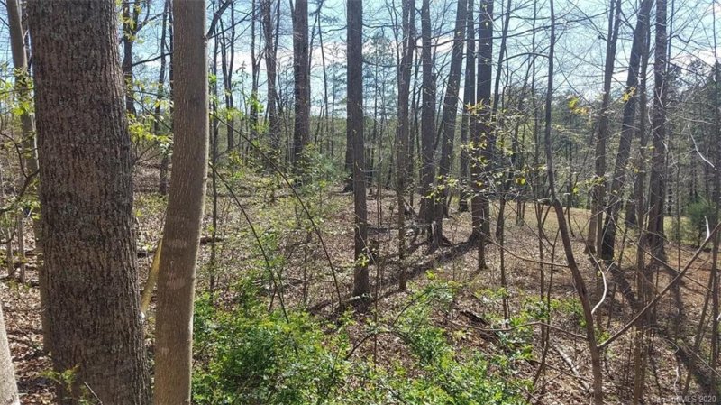 Property image 4 at 207 Stow A Way Drive, Nebo, NC 28761