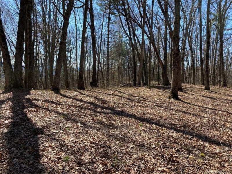 Property image 5 at 00 Salt Rock Road, Cullowhee, NC 28723