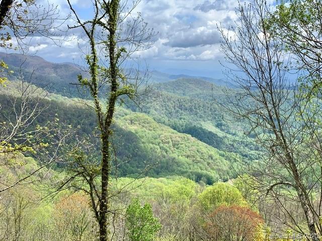 Property image 4 at 9 Mount Soma Boulevard, Clyde, NC 28721