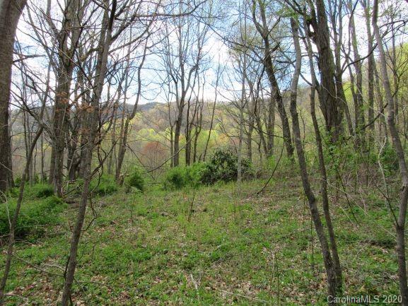 Lot 31 Triple Creek Drive