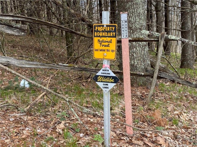 Property image 3 at 00 Cox Comb Trail, Burnsville, NC 28714