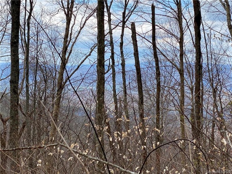 Property image 4 at 00 Cox Comb Trail, Burnsville, NC 28714