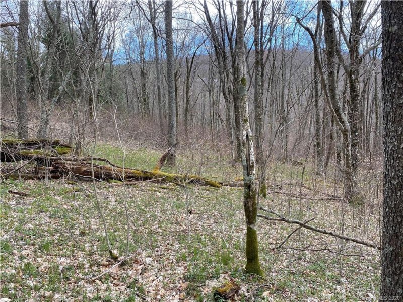 Property image 5 at 00 Cox Comb Trail, Burnsville, NC 28714