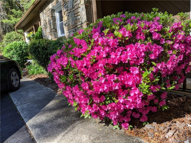 Property image 3 at 6 S Calico Lane, Etowah, NC 28729