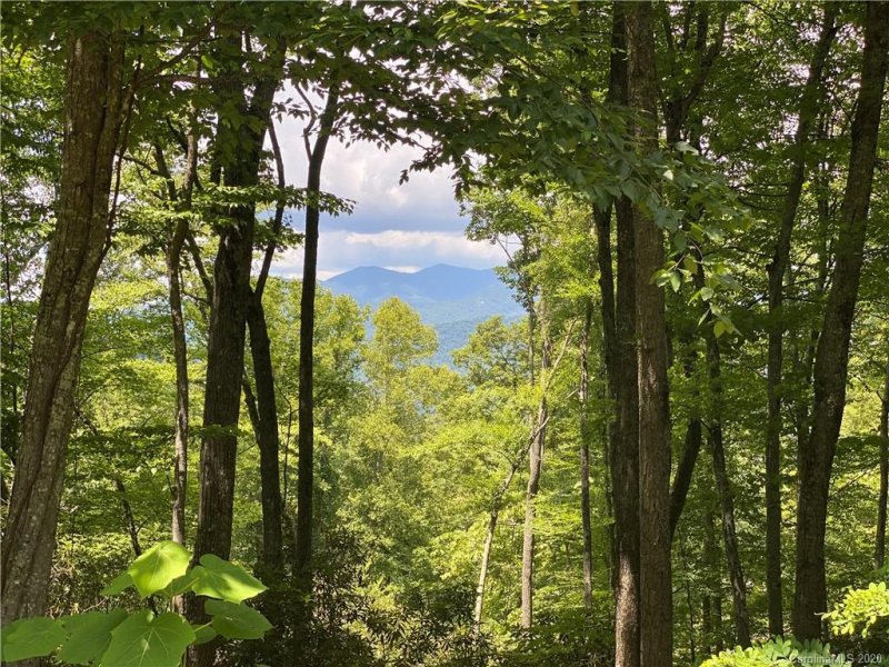 Property image 3 at 1251 Arborcrest Way, Swannanoa, NC 28778