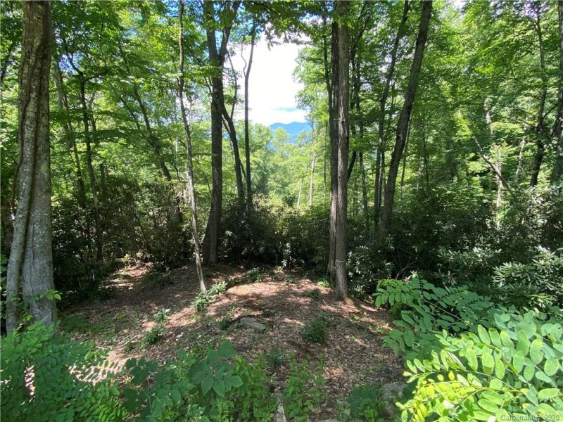 Property image 4 at 1251 Arborcrest Way, Swannanoa, NC 28778