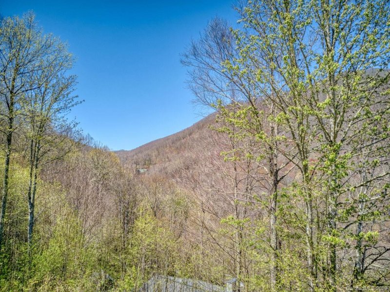 Property image 5 at 571 Conley Drive, Maggie Valley, NC 28751