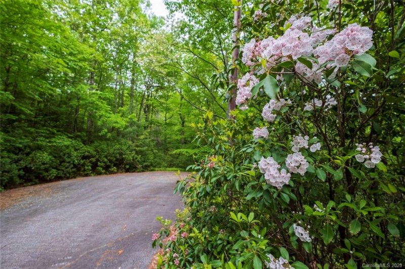 Property image 3 at 25 Summer Hill Drive, Cedar Mountain, NC 28718