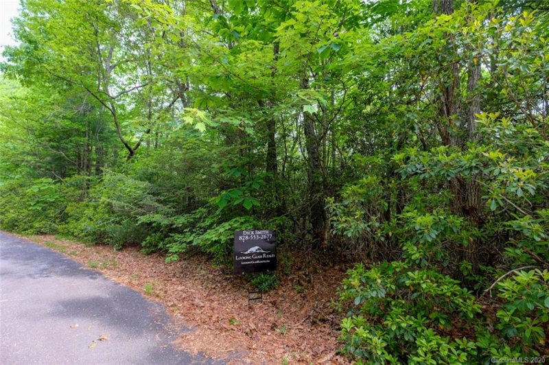 Property image 4 at 25 Summer Hill Drive, Cedar Mountain, NC 28718