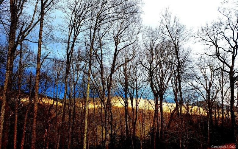 Property image 4 at 1632 Old Mill Road, Hendersonville, NC 28792