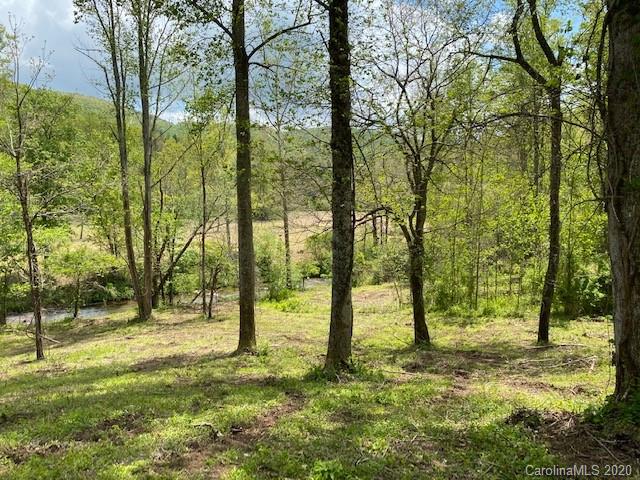 Property image 5 at 0000 Nc Hwy 9 None, Black Mountain, NC 28711