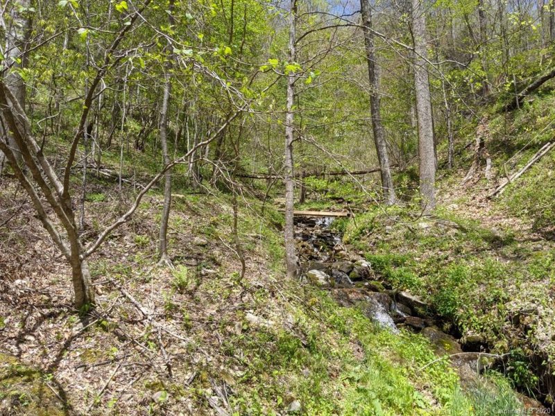 Property image 2 at 00 Hurricane Ridge Trace, Clyde, NC 28721