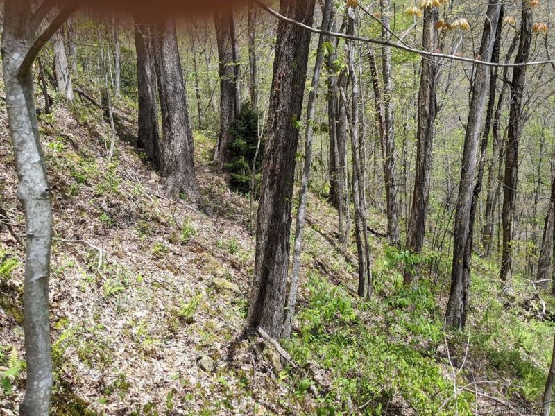 Property image 5 at 00 Hurricane Ridge Trace, Clyde, NC 28721