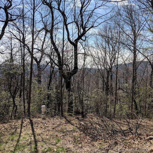 Property image 3 at T 44 94 Galax Lane, Black Mountain, NC 28711