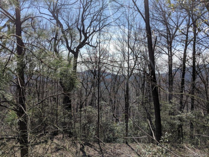 Property image 4 at T 44 94 Galax Lane, Black Mountain, NC 28711